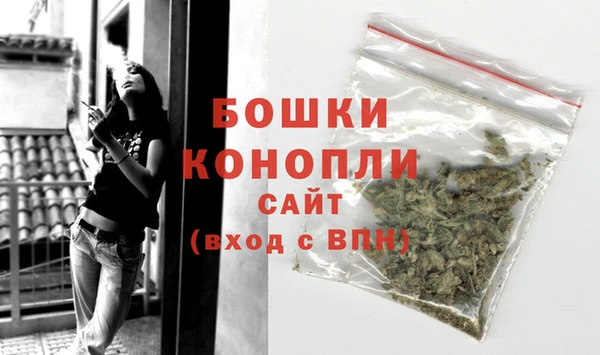 молекула духа Волосово